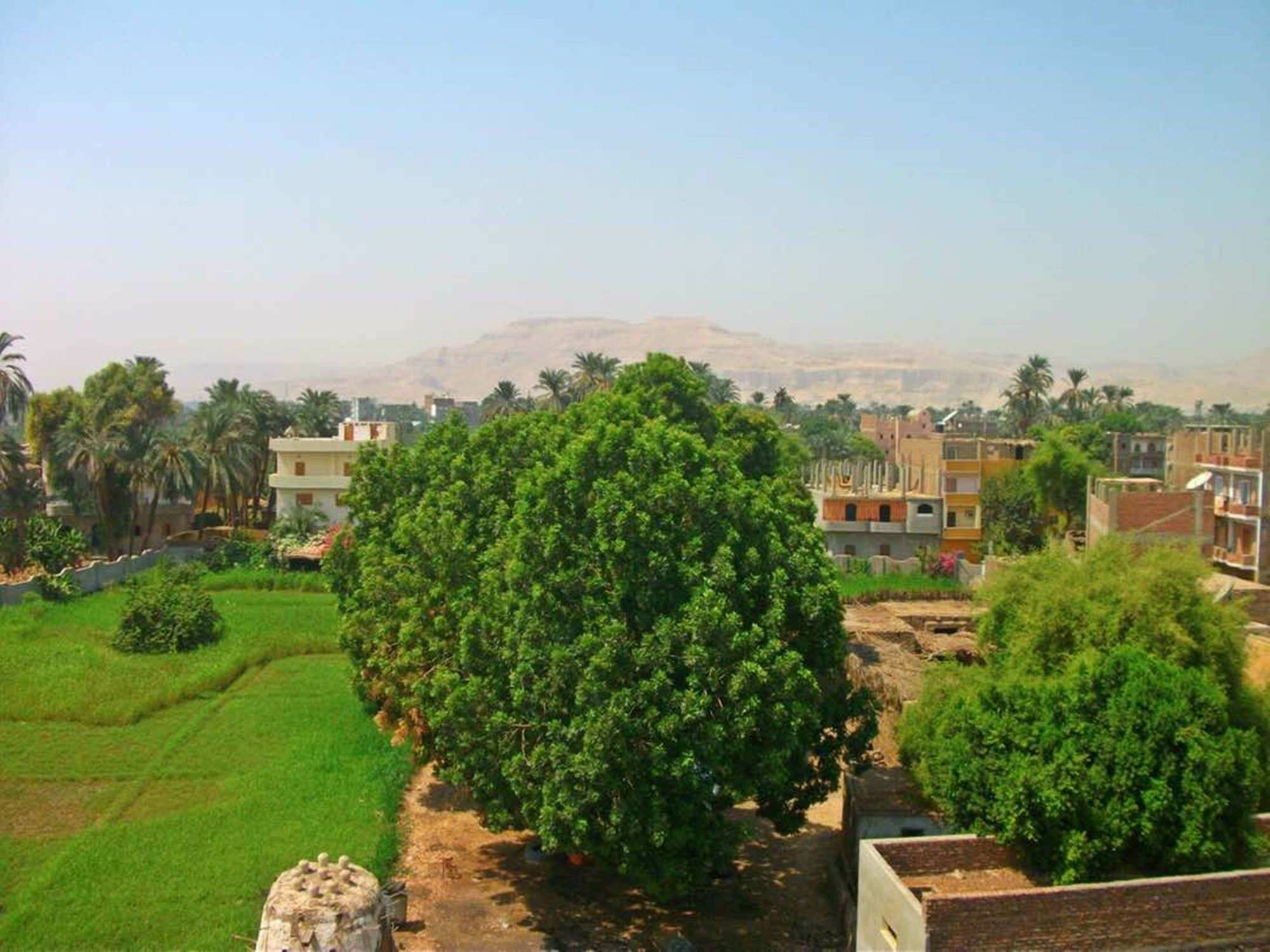 Farida Apartments Luxor Exterior foto