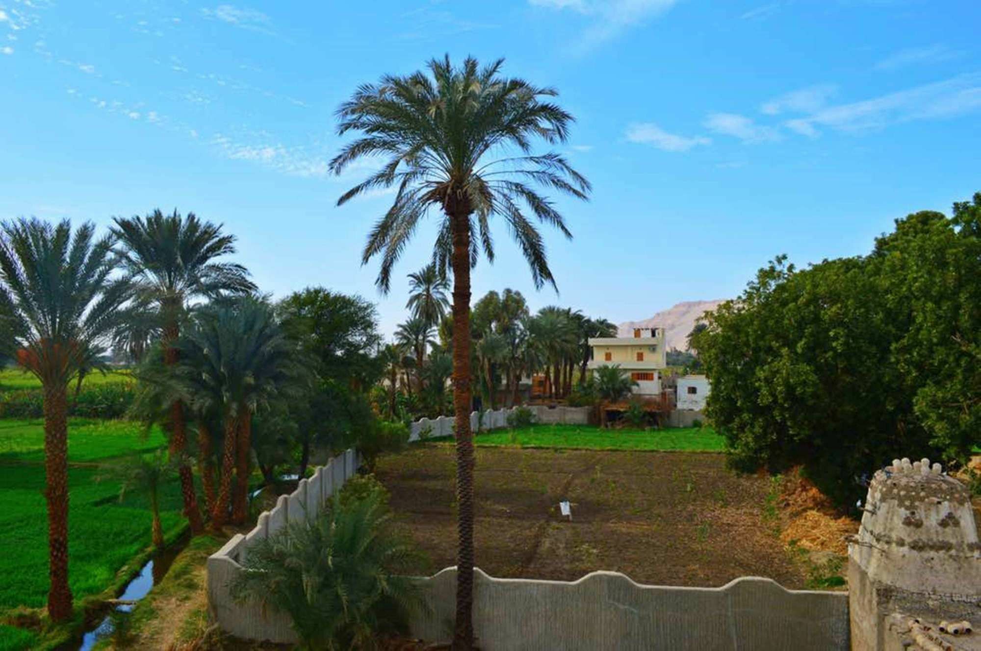Farida Apartments Luxor Exterior foto