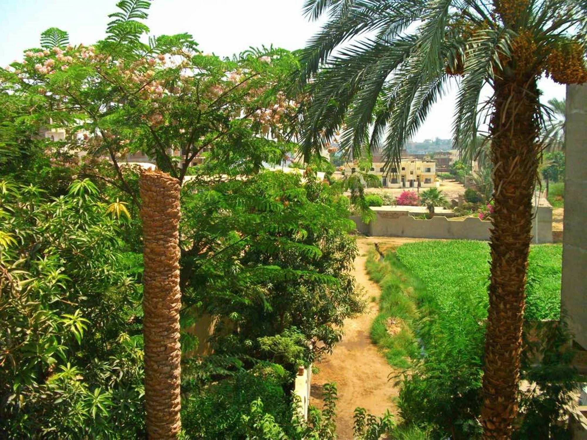 Farida Apartments Luxor Exterior foto