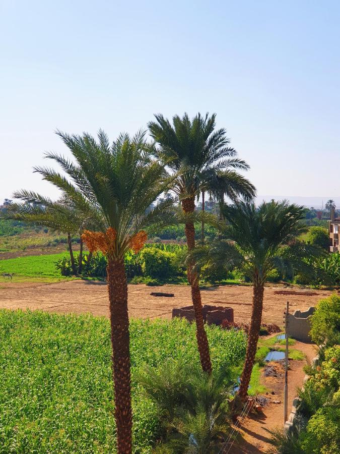 Farida Apartments Luxor Exterior foto
